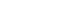Shopify Plus Partner