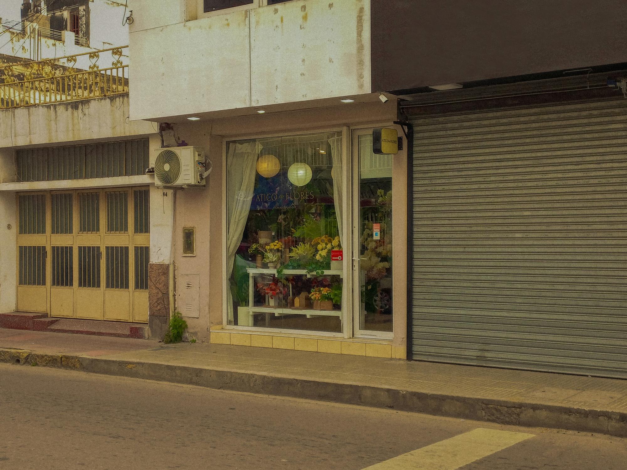 A florist on a quiet street, one shutter still down and the window just lit